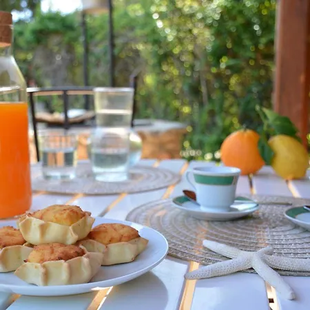 Guest House Torre Delle Stelle *